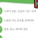 장샹떼플러스 이미지