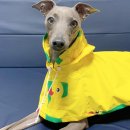 패션디자인(야간) 이미지