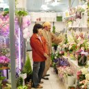 꽃집아가씨 이미지