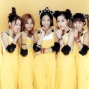 티티마 이미지