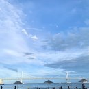 카페보리 이미지