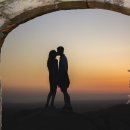 금성서적 이미지