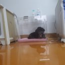 개편한 스쿨 이미지