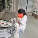 이담헤어 이미지