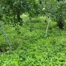 김장섭농장 이미지