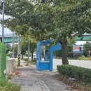 대화자동차 | 울산 운전면허 자동차학원 가격 비교 + 학과·필기시험 후기