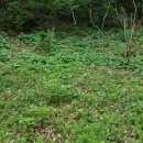 산내들펜션 이미지