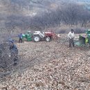 세중농장2 이미지