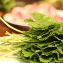 산양삼치유농원