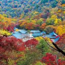 11월30일 두리 산악회 정읍 내장산 8봉 환종주 번개 산행 이미지