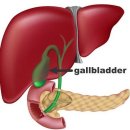 ﻿일반적인 증세 '담낭암증상' 이미지