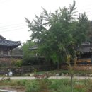 금강올레길 이미지