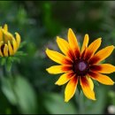 한문교실 이미지