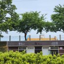 왕숙천공원-2[도농-2] 이미지