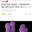 존재감 잃은 `남성성`...Y염색체 제거해도 생쥐 손자도 태어나 이미지