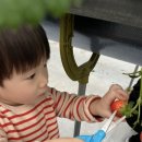 (주)더힐링팜 이미지