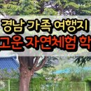 달빛고운 월성캠핑장 | [달빛고운자연체험학습관] 체험 후기/동영상 모음