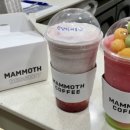 매머드익스프레스수락산역점