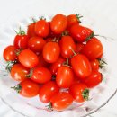 팜스마켓 이미지