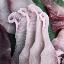 가영이네횟집 이미지