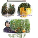 노안농장 이미지