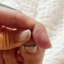 누빌샵1 이미지