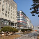 땡벌게임랜드 | 세종 아이들과 가기 좋은 곳, 이색데이트 : 실내 롤러스케이트- 신영롤러스케이트장(게임장, 인형뽑기...