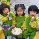 담양남초교 유치원 이미지