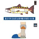 동화발전기