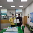 진도담배 이미지