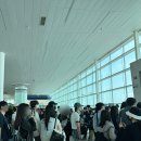 마마모텔 | W-13. 두근두근 발리 신혼여행 Day 1~2 (마마카 바이 오볼로/트랜스 풀빌라/발리스윙+우붓 래프팅)