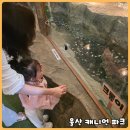 울산 최대 실내동물원 캐니언파크! 두돌 아기랑 다녀온 솔직 후기