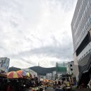 자갈치시장 | 부산 여행 2일차 /자갈치시장 / 깡통시장 방문 후기