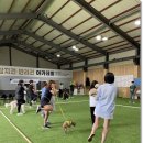 주식회사 크라우드아카데미 네이버블로그