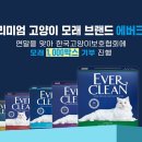 한국반려묘협회