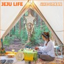 서귀포자연휴양림2 이미지