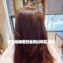 화이트헤어샵 | 동탄 미용실 준오헤어 동탄솔빛나루점 뿌리염색 클리닉 헤어샵 후기