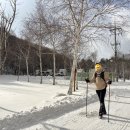 계방산눈꽃마을 | 2026.1.10. 오대산 국립공원 겨울 즐기기 – 선택의 롤러코스터, 눈 덮인 계방산.