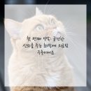 굳건병원 | 수준 높은 케어가 가능한 비결, 환자분들과의 굳건한 약속 이야기예요