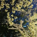 광평 평양냉면갈비 강남점 이미지