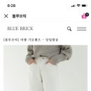 블루브릭