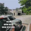 마지막 글로벌 빌리지: 대학 기숙사 생활을 마무리하며