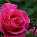 내컴퓨터 관리하기 이미지