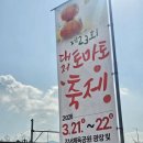 한진체육관 | 2026년 제23회 대저 토마토 축제 대저짭짤이토마토 구매, 행사일정, 대저짭짤이토마토 2S 로얄과 후기