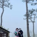 써미트CC 이미지