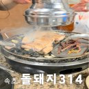 314 | 속초 현지인 추천 맛집 돌돼지314자갈구이삼겹살 후기