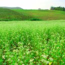 성마루농장 이미지