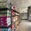 에니타임 이미지