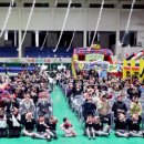 하동유도체육관 이미지