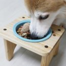 펫마마스푸드 네이버블로그